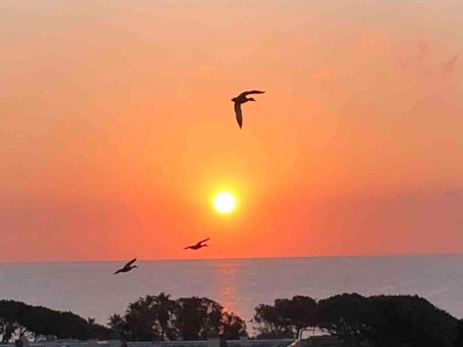 Appartement Vue Mer Au Lavandou 勒拉旺杜 外观 照片