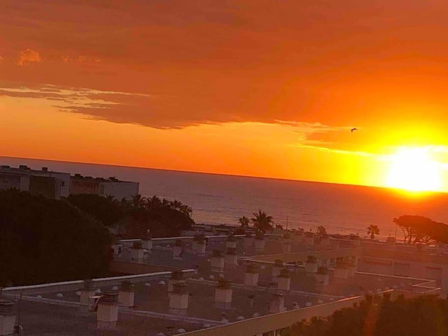 Appartement Vue Mer Au Lavandou 勒拉旺杜 外观 照片