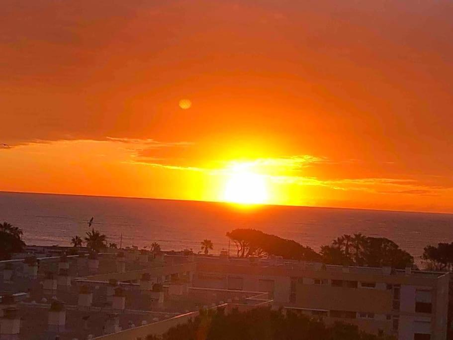 Appartement Vue Mer Au Lavandou 勒拉旺杜 外观 照片